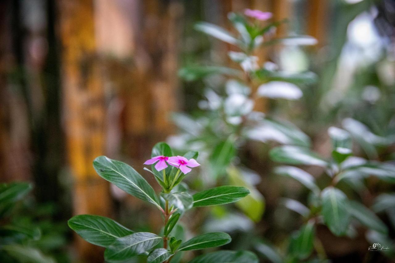 Sapa Riverside Ecolodge & Spa Экстерьер фото